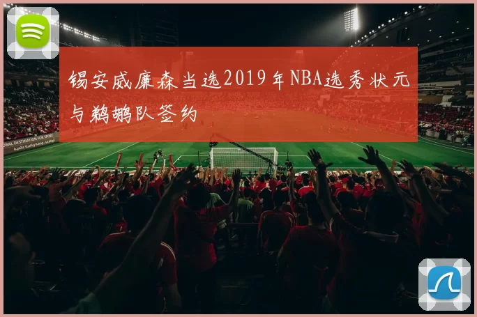 锡安威廉森当选2019年NBA选秀状元与鹈鹕队签约
